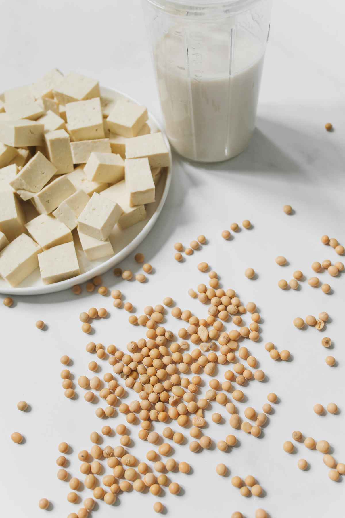Calcium in Tofu: A Great Source of this Essential Mineral – Thefitdish